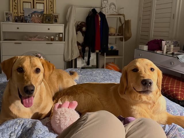 Winnie and partner
